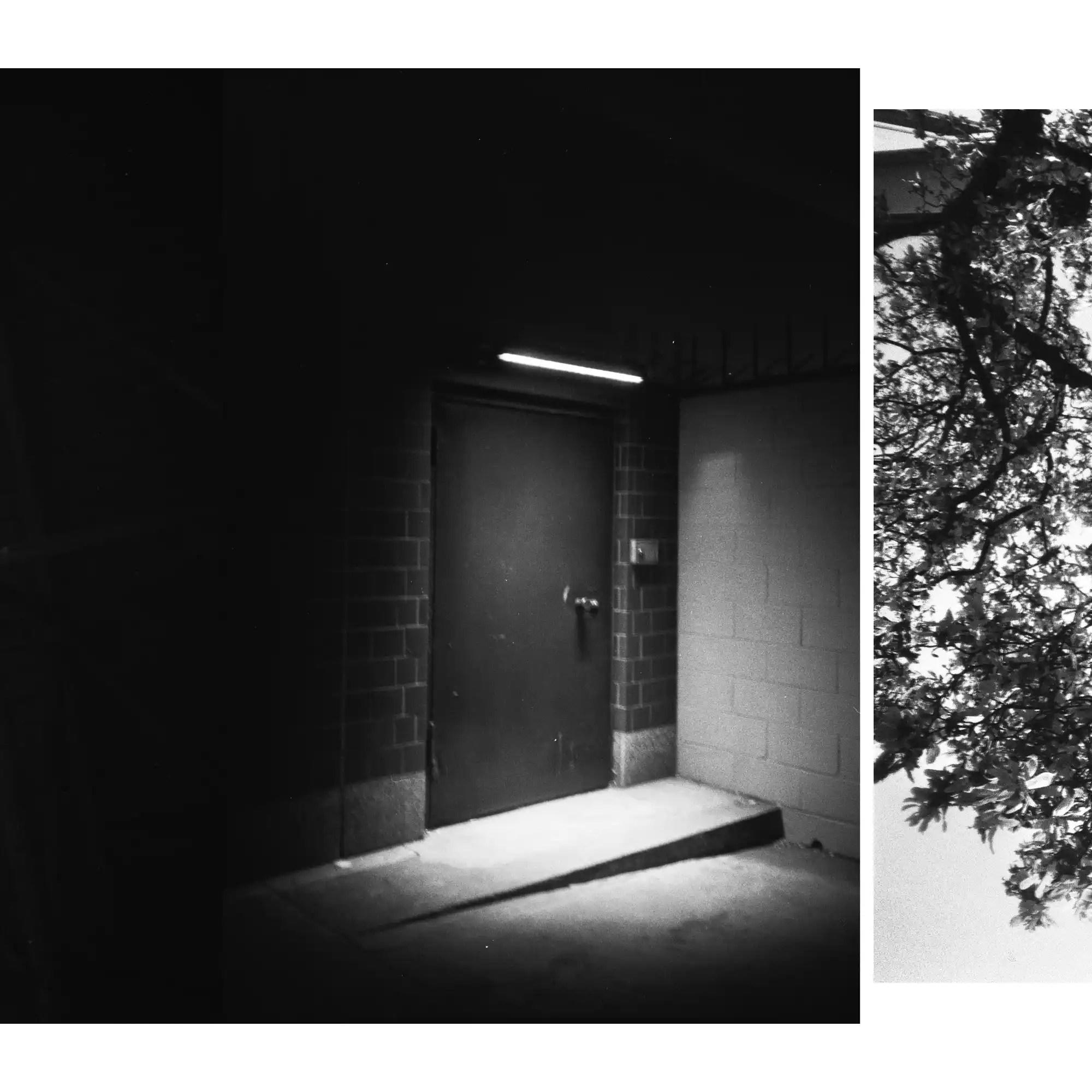 Artistic collage of images overlapping